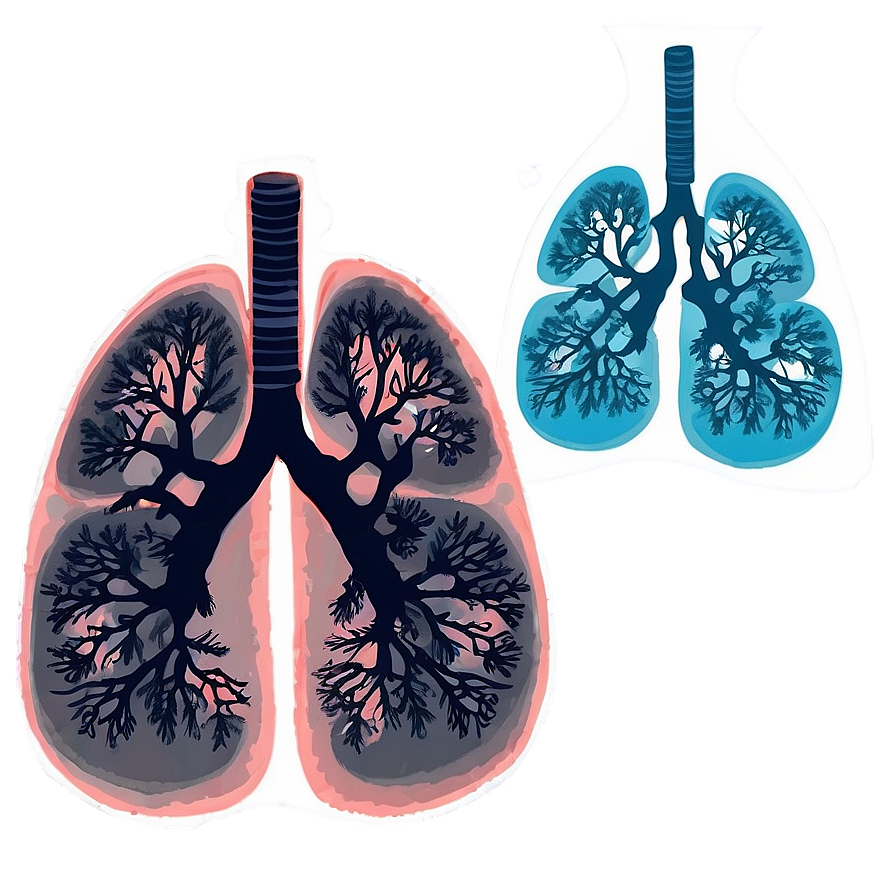 Lungs During Exercise Png Kdo82 PNG Image