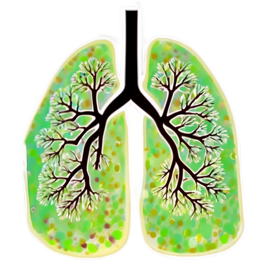 Lungs Environmental Impact Png 05232024 PNG Image