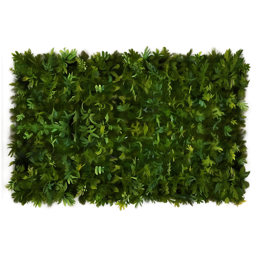 Lush Forest Carpet Texture Png 06292024 PNG Image