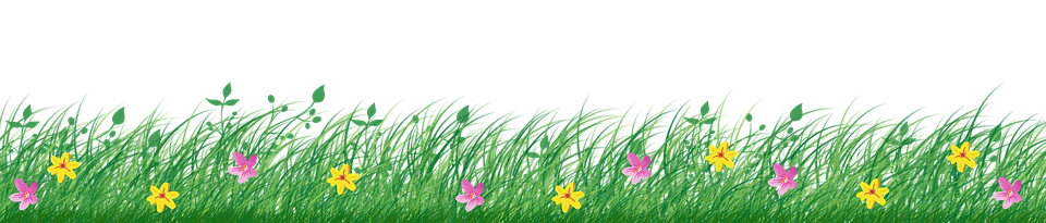 Lush Grass Borderwith Flowers PNG Image