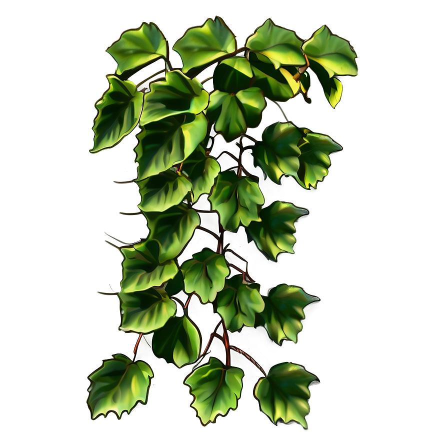 Lush Green Ivy Vine Graphic PNG Image