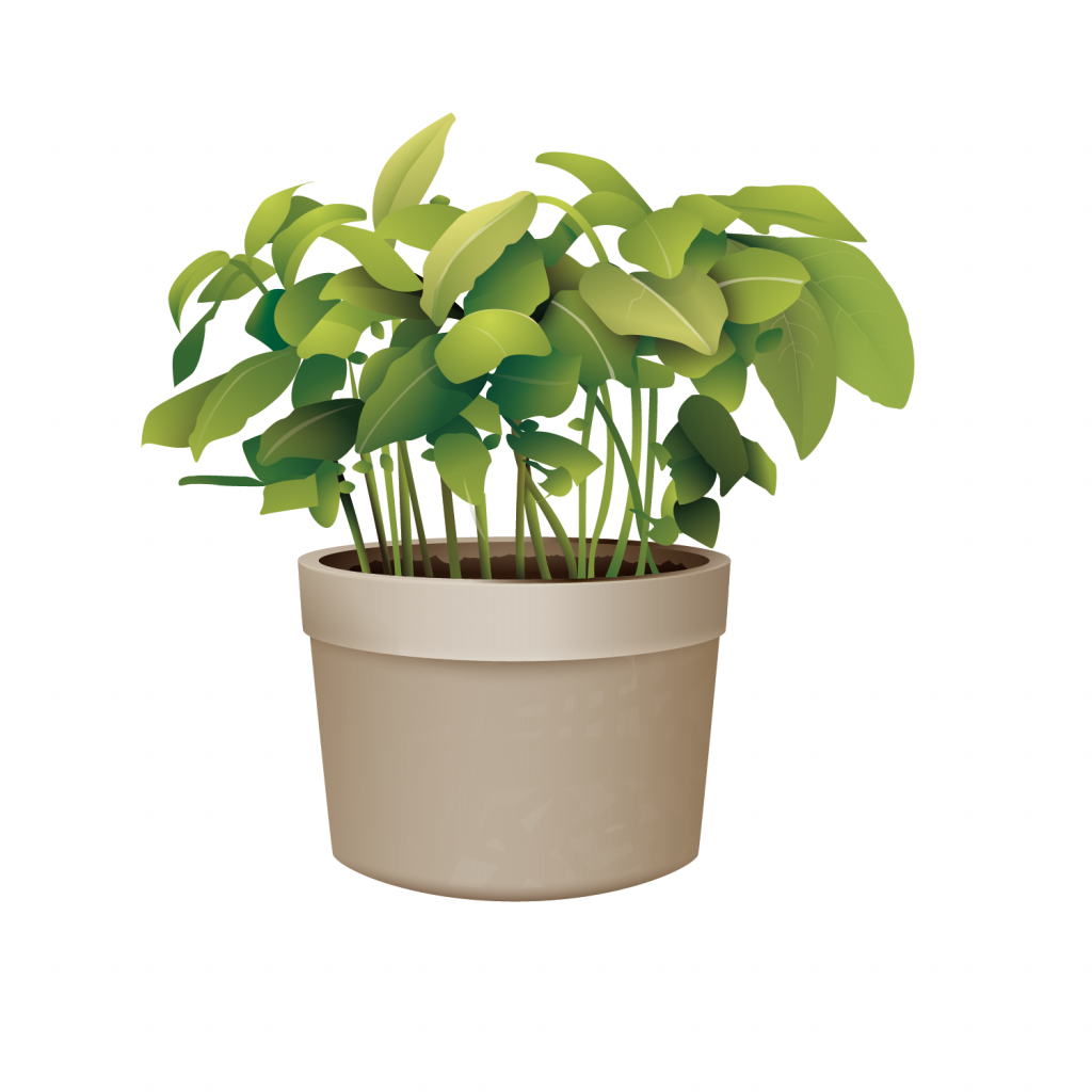 Lush Green Potted Plant Graphic PNG Image