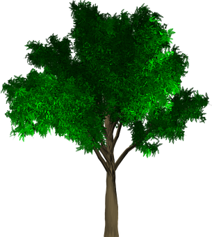 Lush Green Treeon Black Background PNG Image