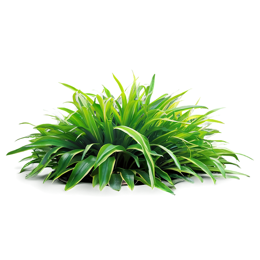 Lush Greenery Grass Png 22 PNG Image