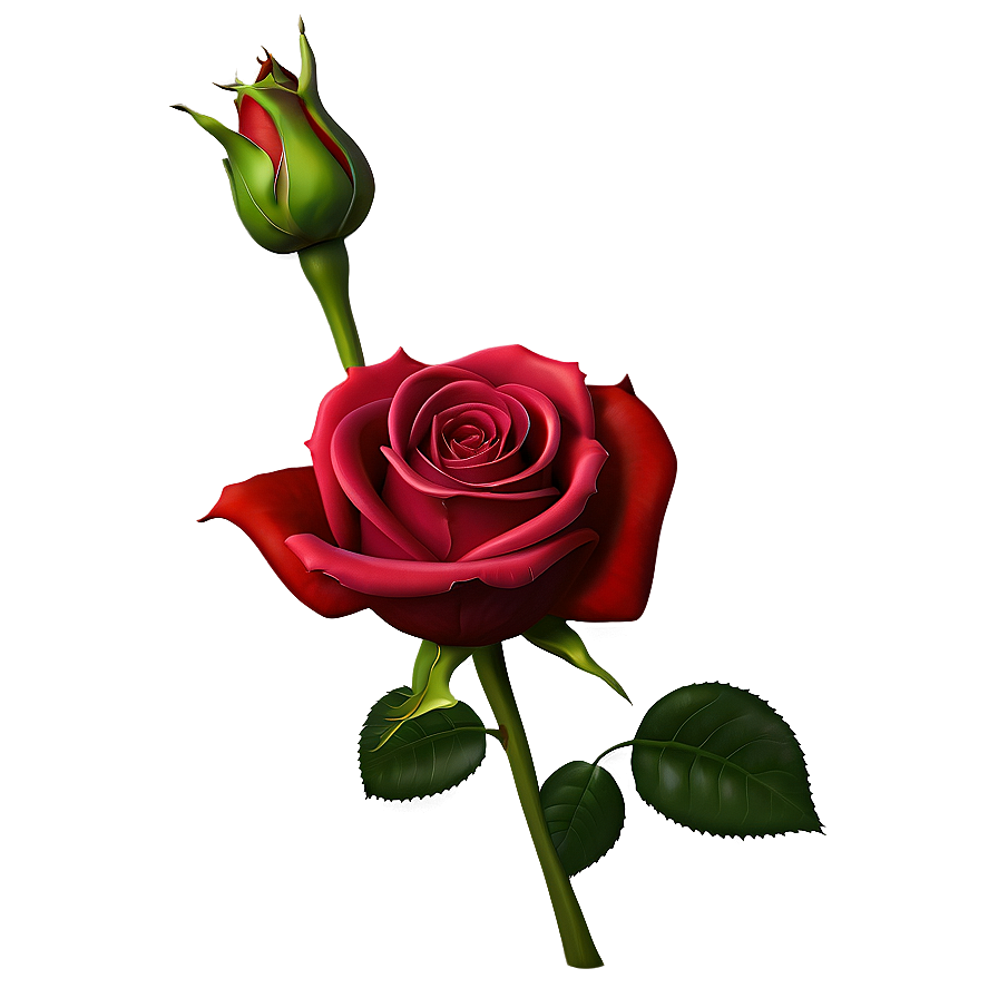 Lush Red Rose Png Yqj79 PNG Image