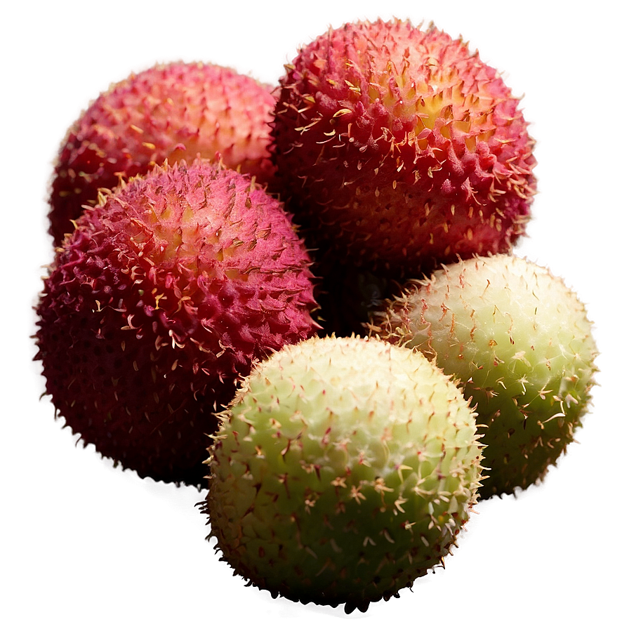 Lychee In Natural Light Png 25 PNG Image