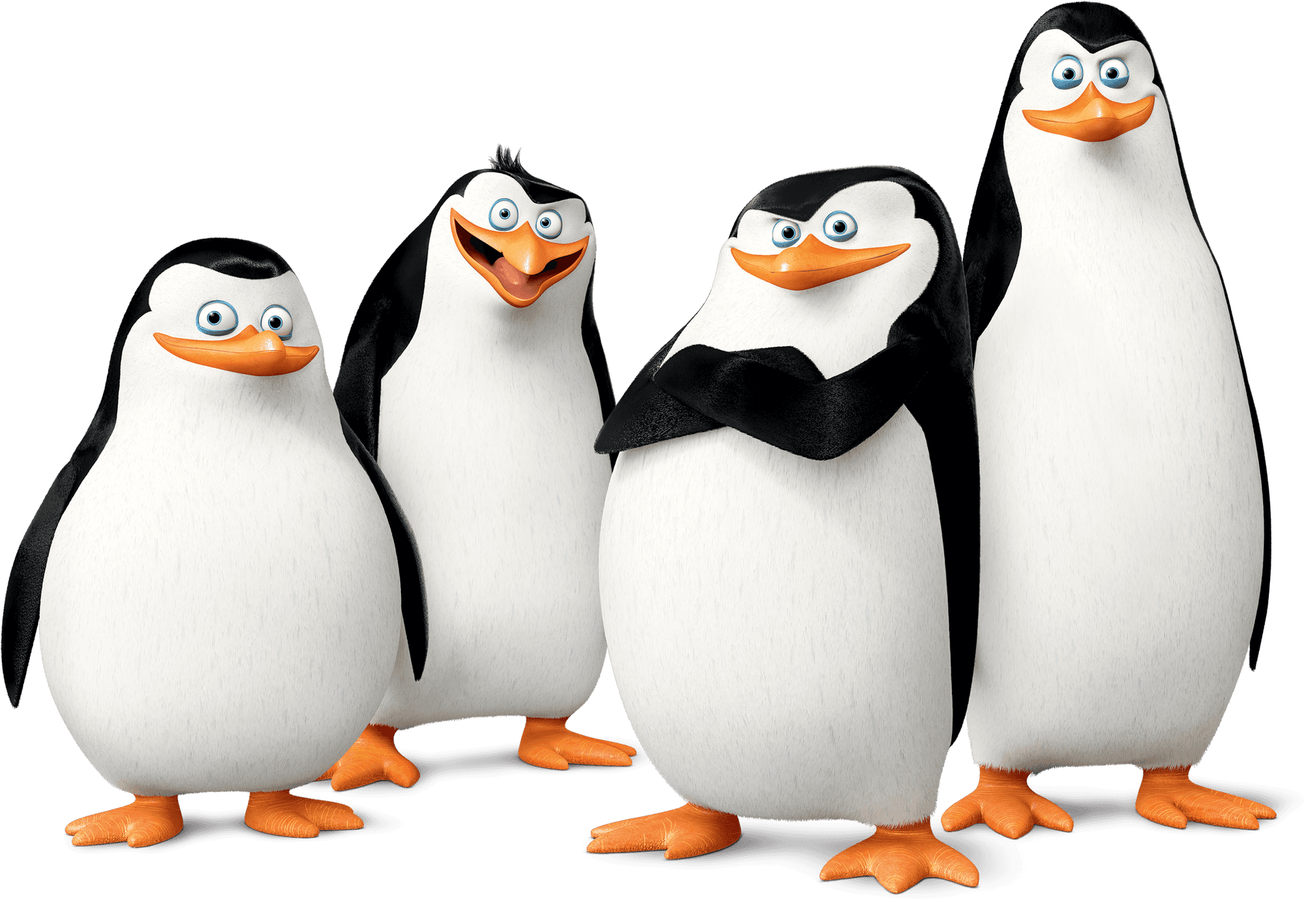 Madagascar Penguins Group Pose PNG Image