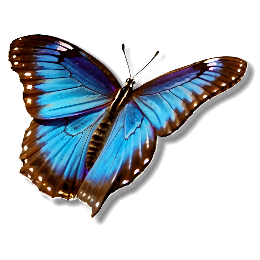 Magical Blue Butterfly Png Elq90 PNG Image