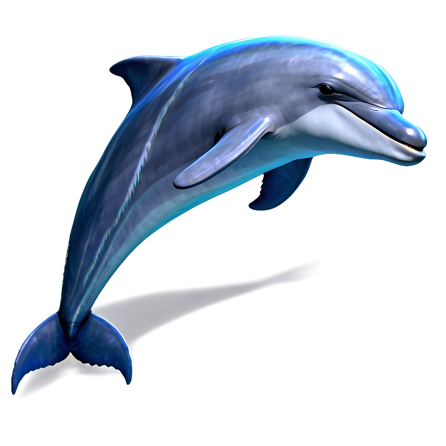 Magical Dolphins Png 06112024 PNG Image