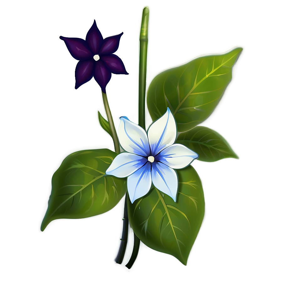 Magical Moonflower Png Qdy28 PNG Image