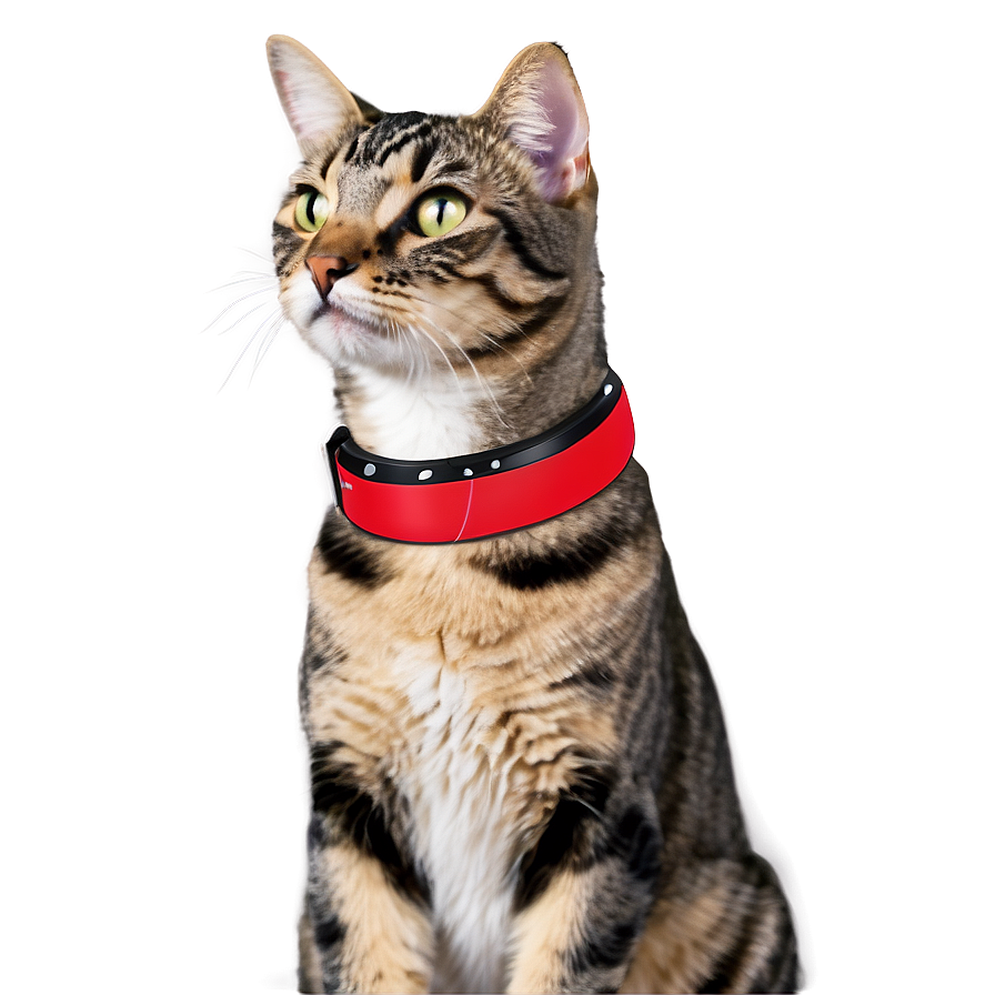 Magnetic Cat Collar Png 21 PNG Image