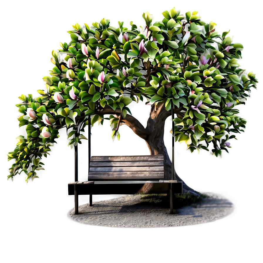 Magnolia Tree With Bench Underneath Png Ewu PNG Image