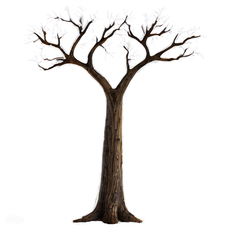 Majestic Bare Tree Png Uwb67 PNG Image