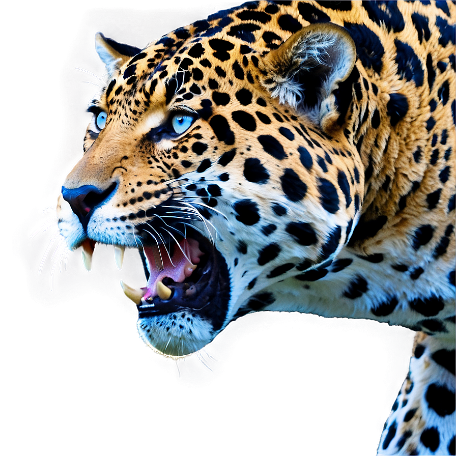 Majestic Beast Jaguar Png 05212024 PNG Image