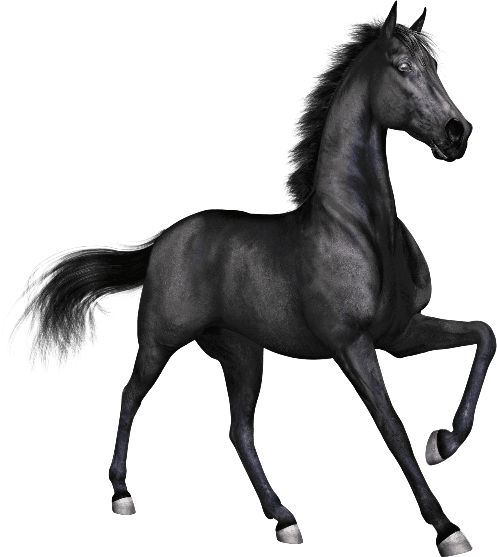 Majestic Black Horse Galloping PNG Image