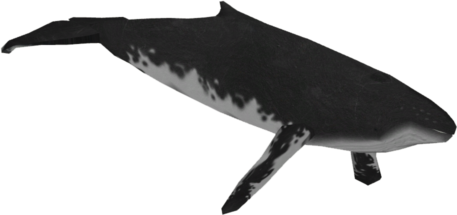 Majestic Black Whale Illustration PNG Image