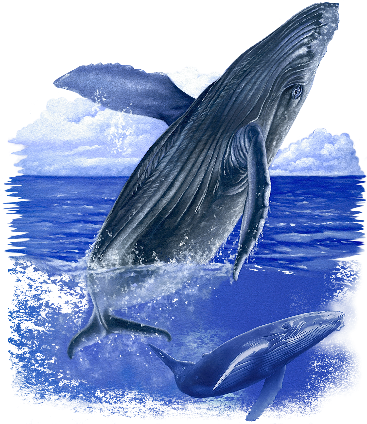 Majestic Blue Whales Ocean PNG Image