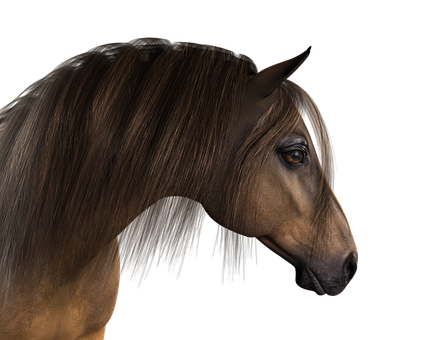 Majestic Brown Horse Portrait PNG Image