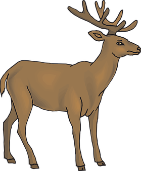 Majestic Brown Stag Illustration PNG Image