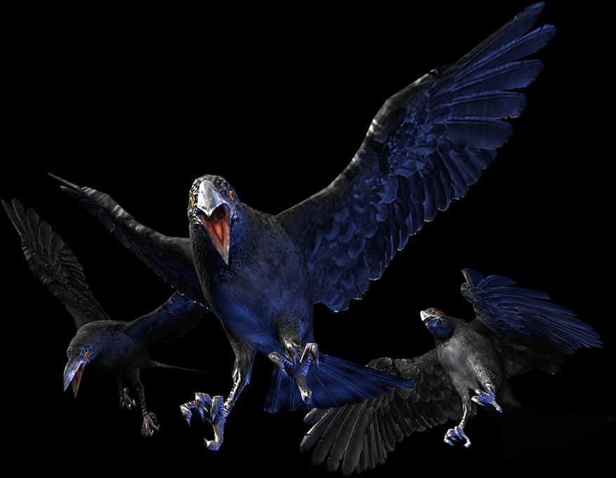 Majestic Crowsin Flight PNG Image