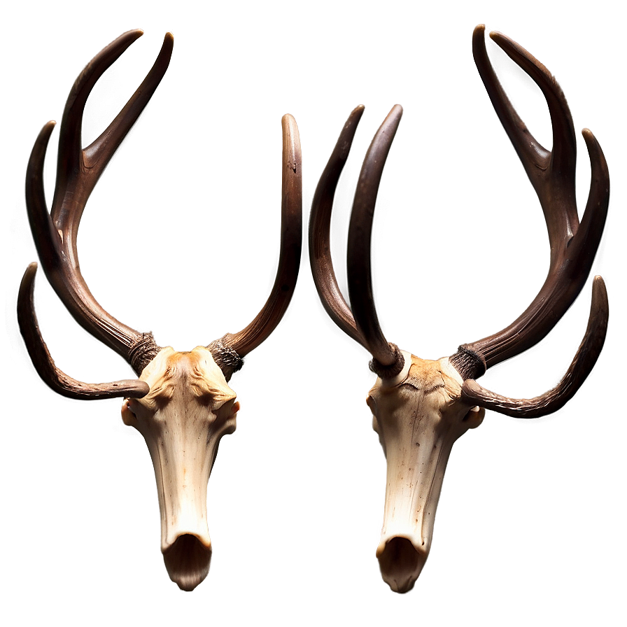 Majestic Deer Antler Design Png Vqi91 PNG Image