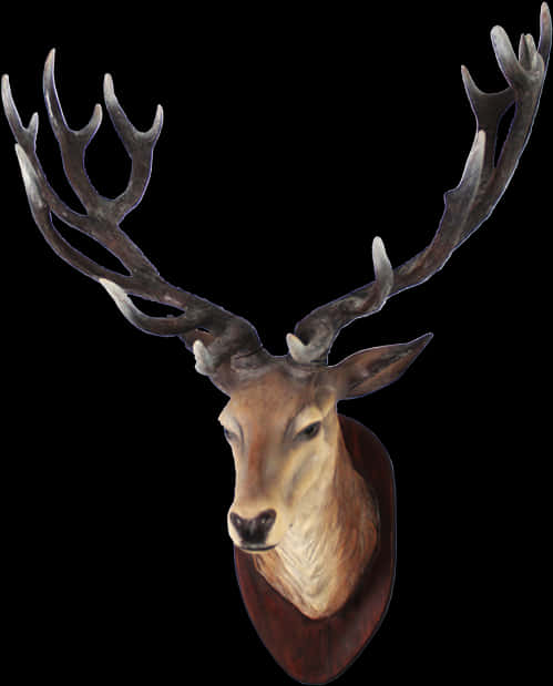 Majestic Deer Head Mount PNG Image