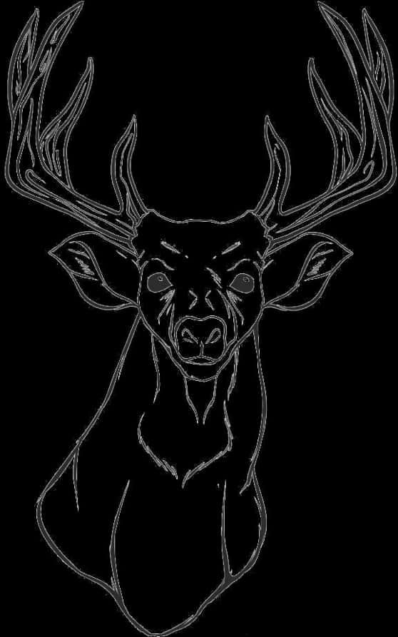 Majestic Deer Sketch Art PNG Image