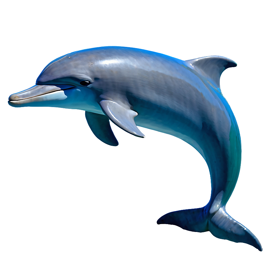 Majestic Dolphin Png 58 PNG Image