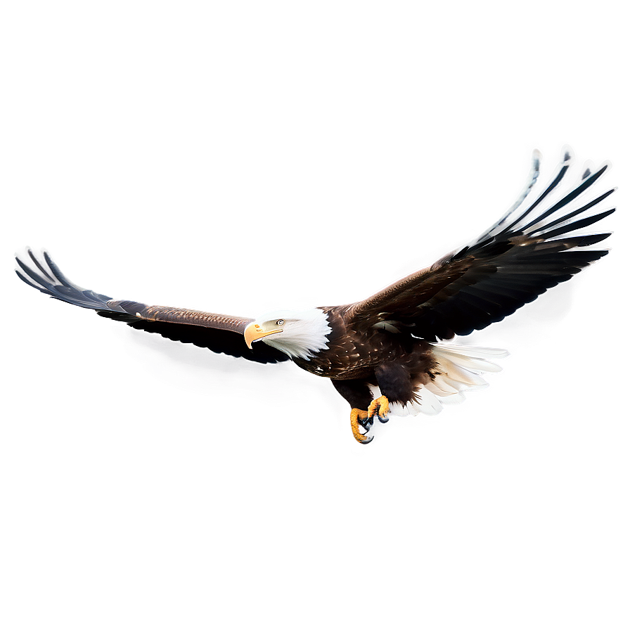 Majestic Eagle Flying Png Slr95 PNG Image