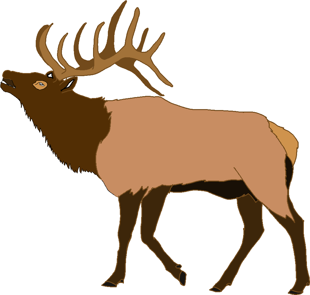 Majestic Elk Illustration PNG Image