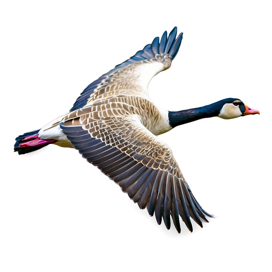 Majestic Goose In Flight Png 06112024 PNG Image