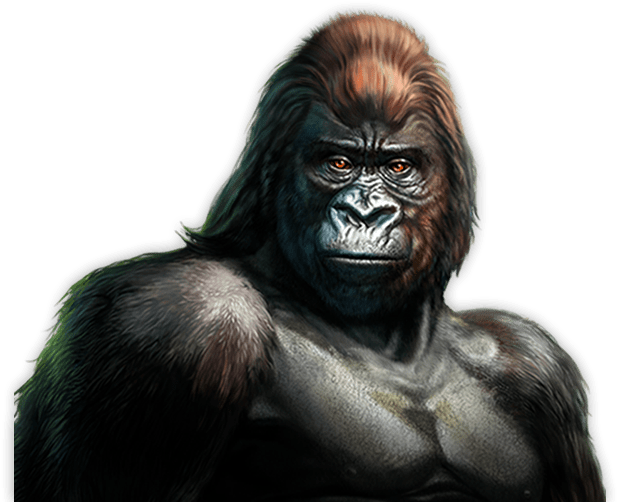 Majestic Gorilla Portrait PNG Image