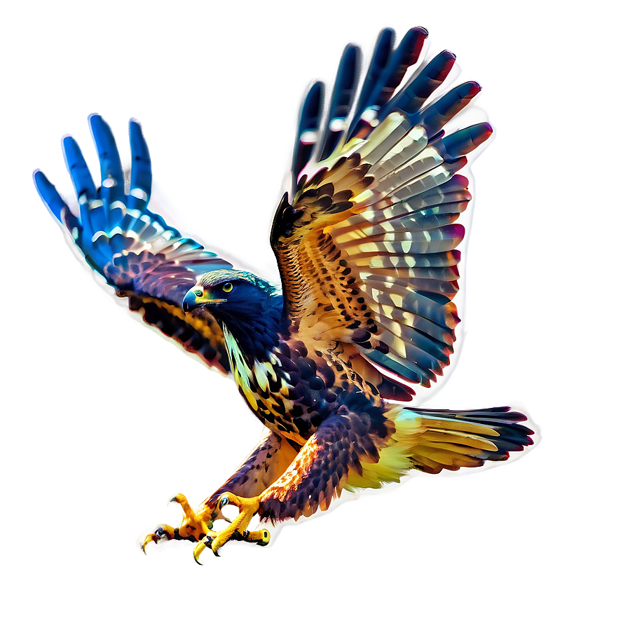 Majestic Hawk Flying Png Cpr96 PNG Image