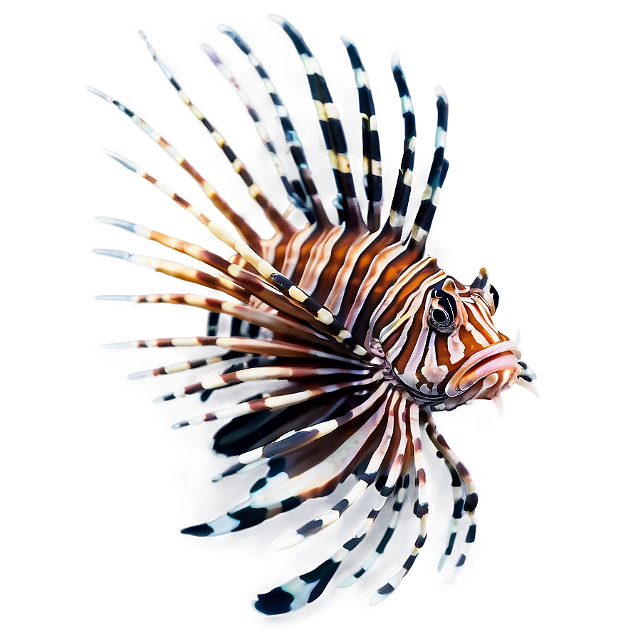 Majestic Lionfish Png 06292024 PNG Image