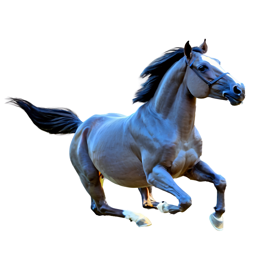 Majestic Mustang Horse Gallop Png Mgu PNG Image