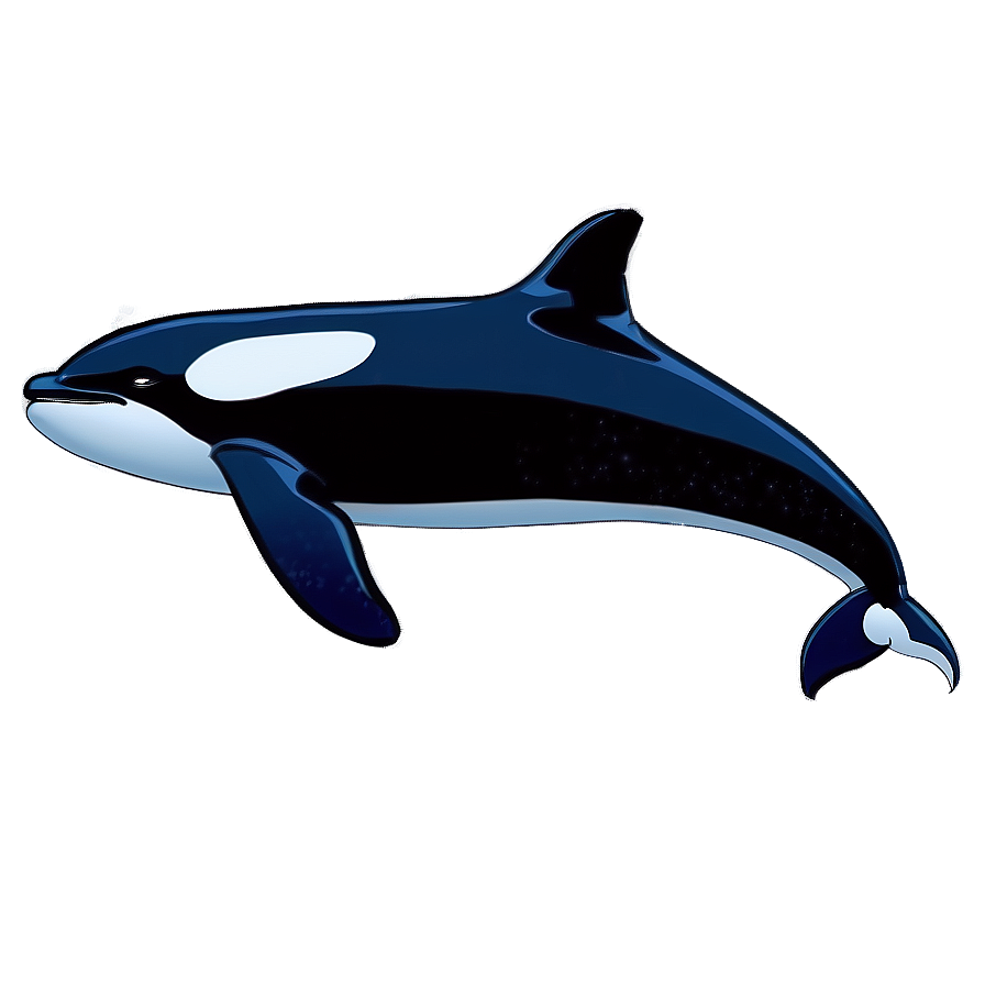 Majestic Orca Whale Artwork Png Djx34 PNG Image