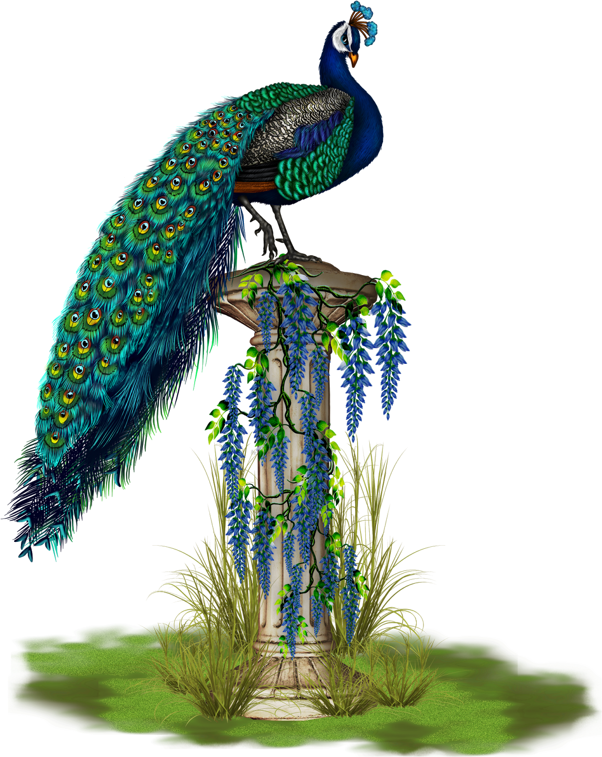 Majestic Peacockon Classic Pillar PNG Image