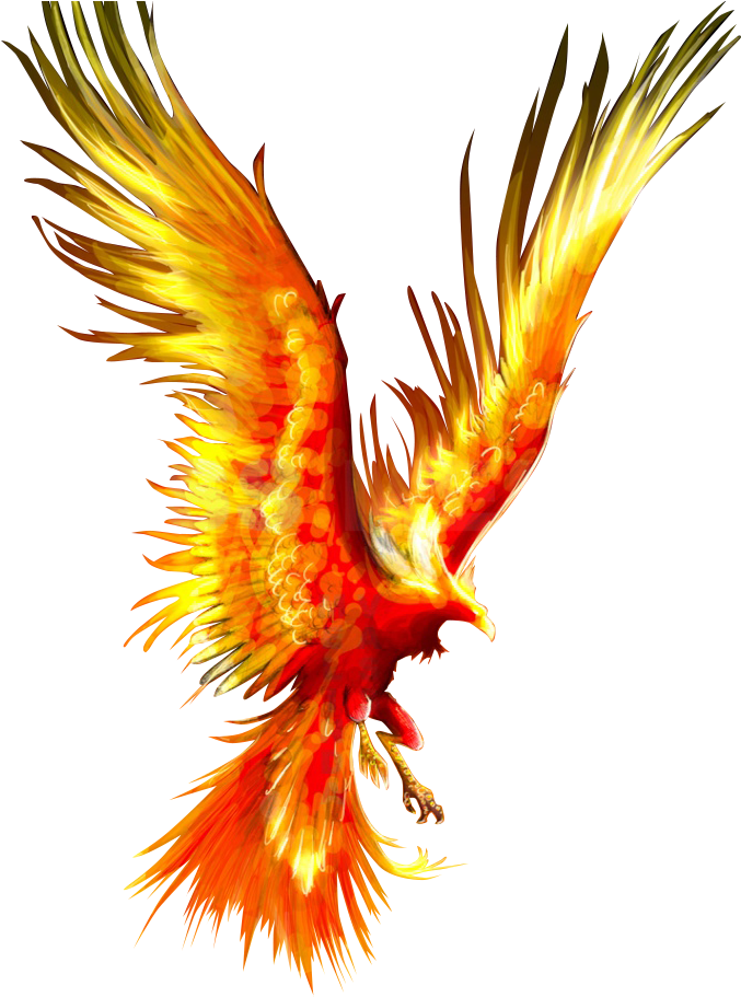 Majestic Phoenix Art PNG Image