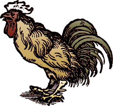 Majestic Rooster Illustration PNG Image