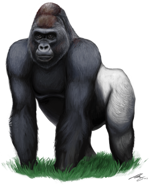 Majestic Silverback Gorilla Artwork PNG Image