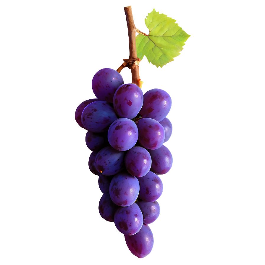 Majestic Single Grape Png Msh20 PNG Image