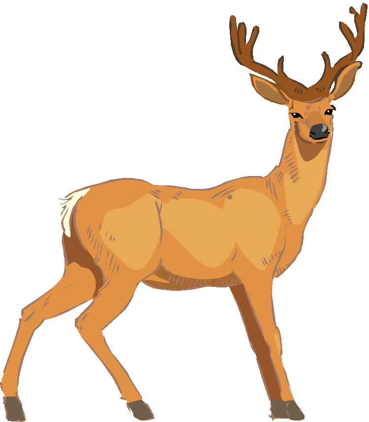 Majestic Stag Illustration PNG Image