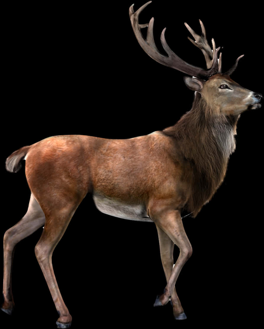 Majestic Stagin Profile PNG Image