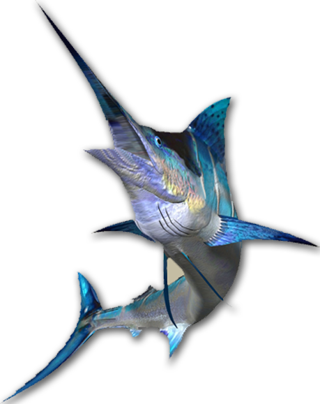 Majestic Swordfish Swimming PNG Image