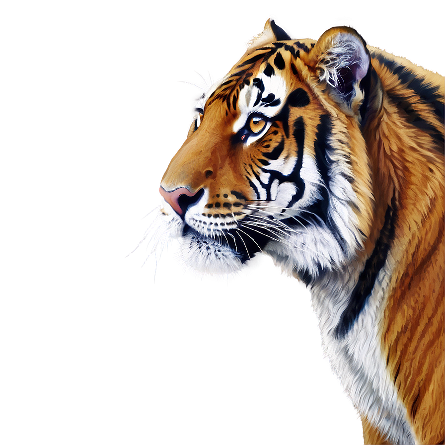 Majestic Tiger Png 05032024 PNG Image