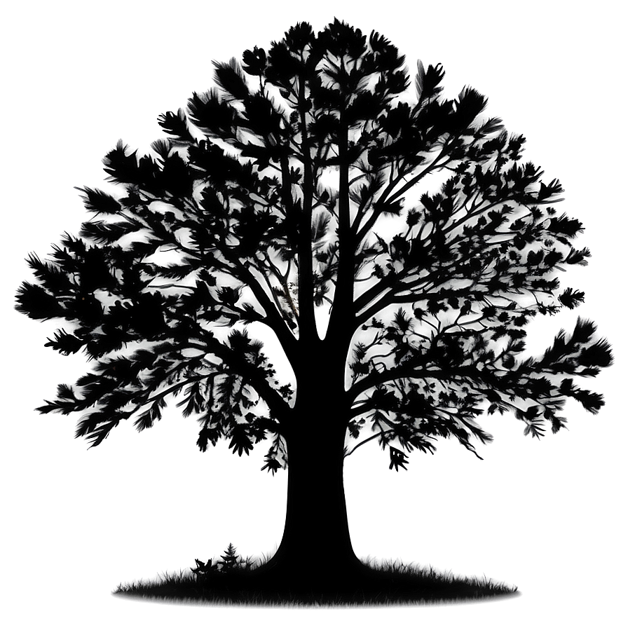 Majestic Tree Silhouette Png 83 PNG Image