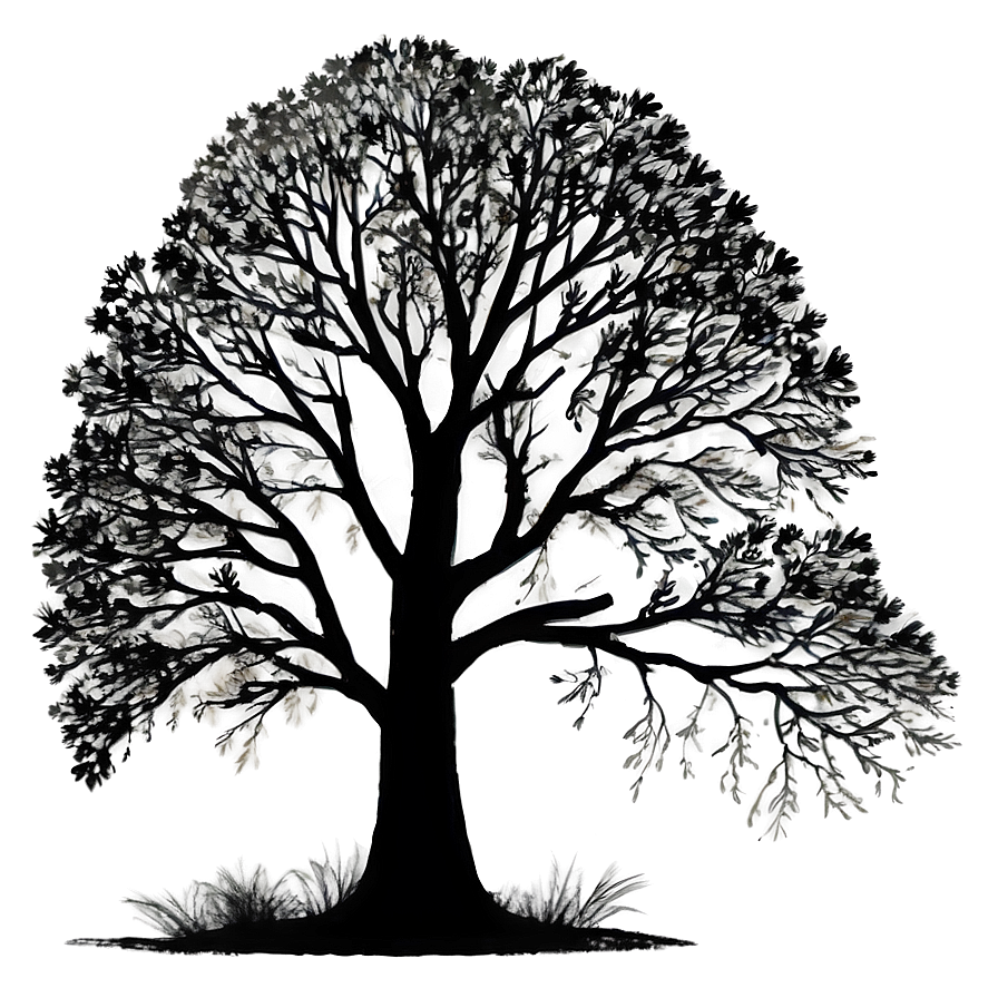 Majestic Tree Silhouette Png Dro PNG Image