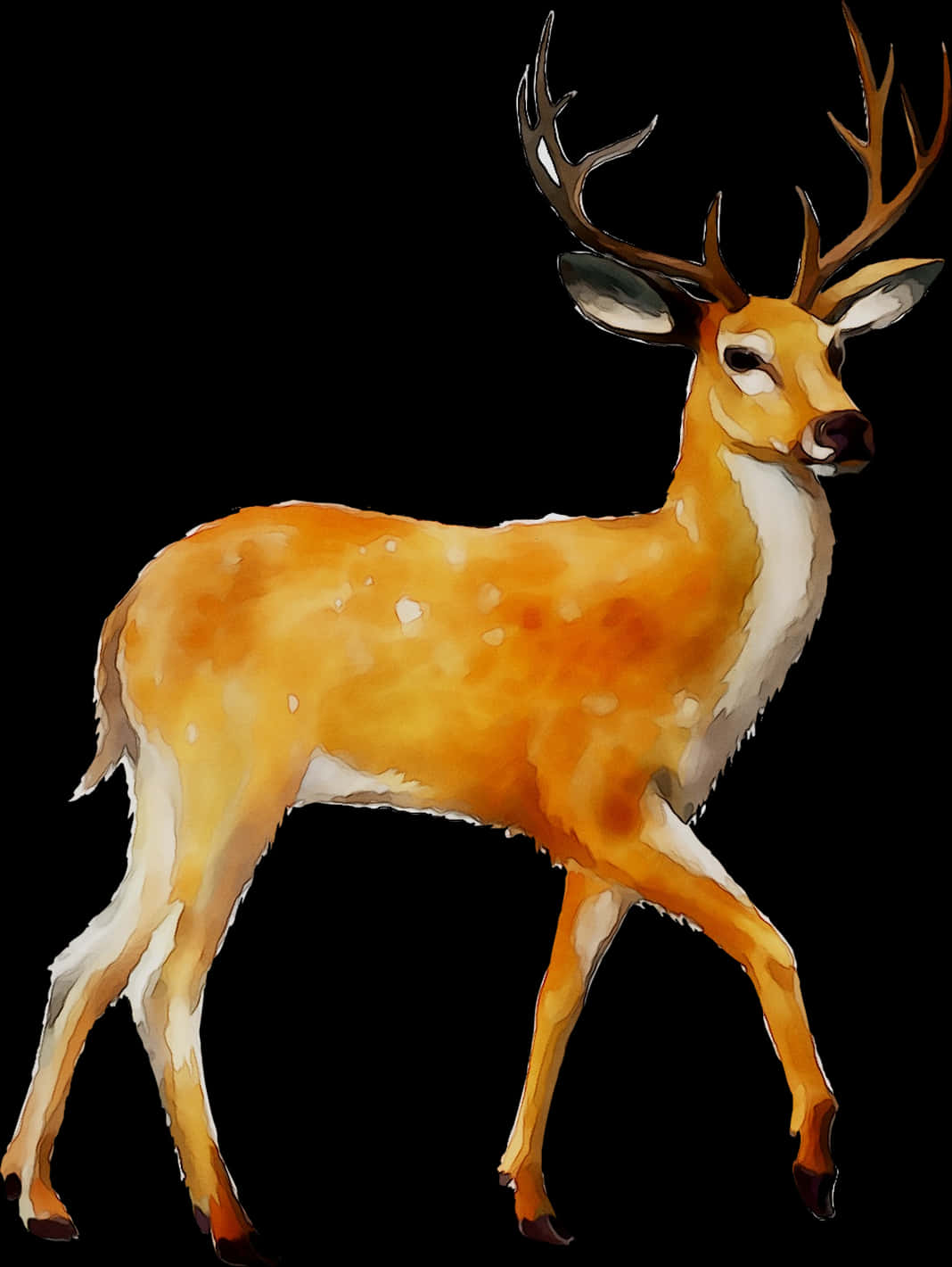 Majestic Whitetail Deer Illustration PNG Image