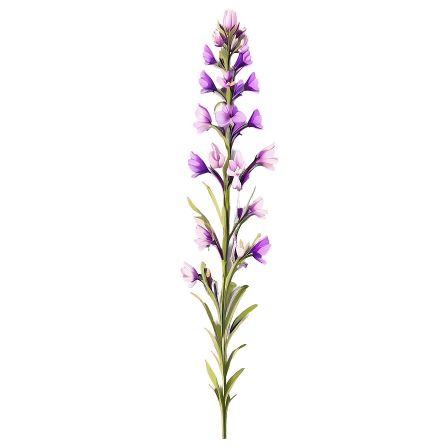 Majestic Wildflower Splendor Png 69 PNG Image