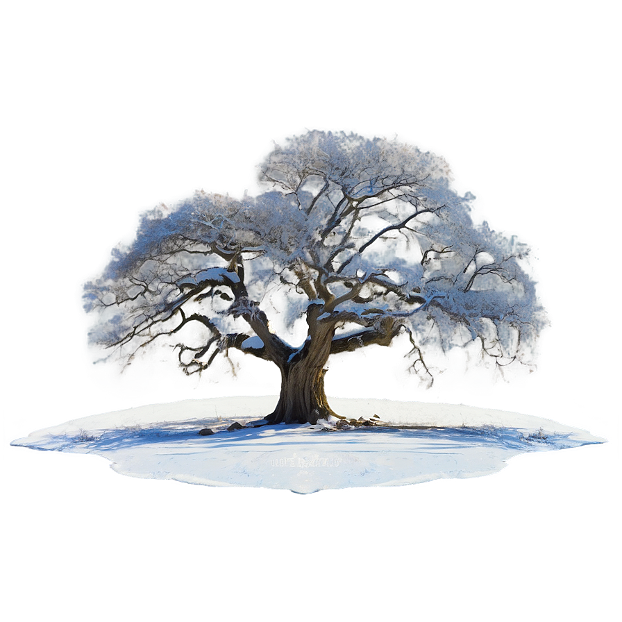 Majestic Winter Oak Trees Png Nco16 PNG Image